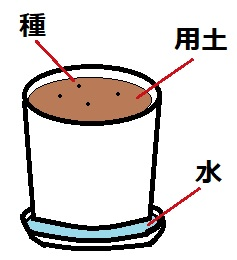 底面給水の方法